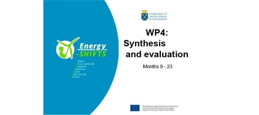 WP4 Synthesis and evaluation